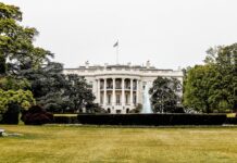 College Students Have Little Trust in American Democracy