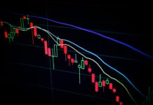 Weekly Insights: Student Investments