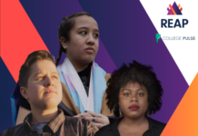 The LGBTQ+ Student Divide