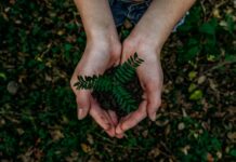 Weekly Insights: Climate Change