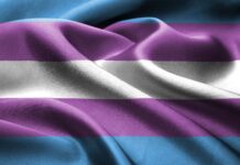 Weekly Insights: Transgender Rights