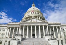 Weekly Insights: Term Limits