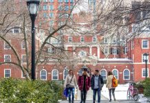 2025 Yale Undergraduate Survey